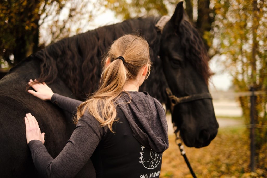 Massage cheval