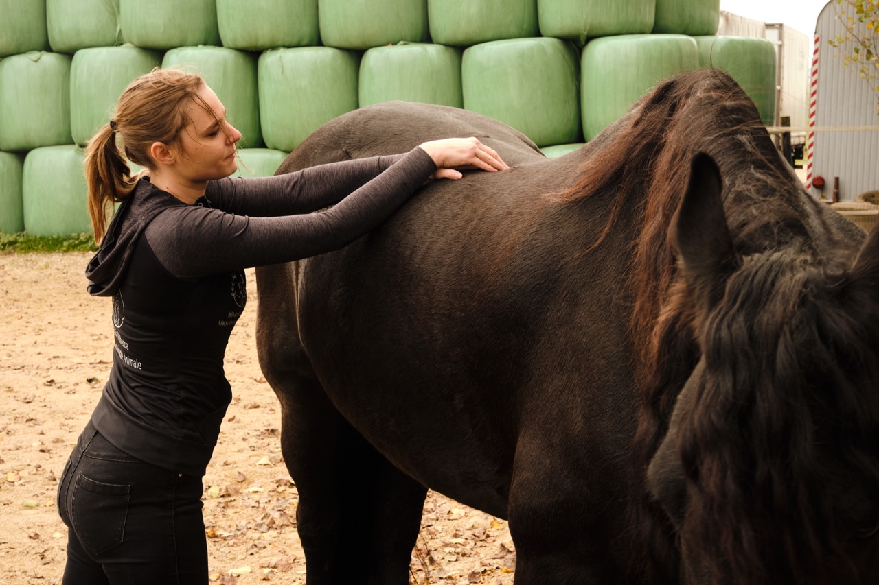 Massage cheval