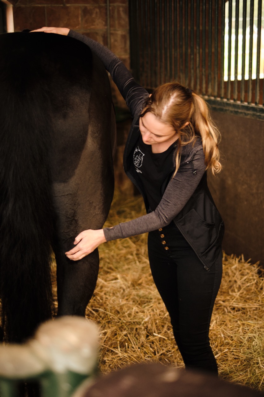 Massage cheval