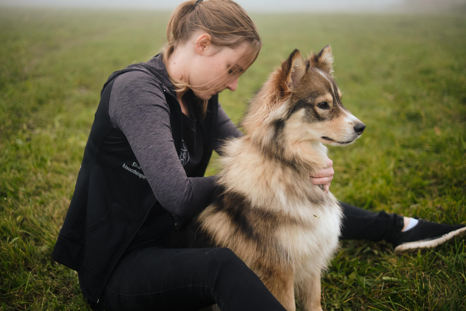 Massage chien