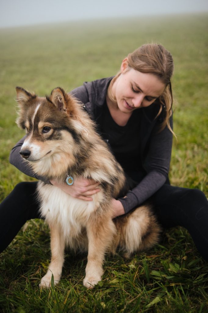 Massage chien